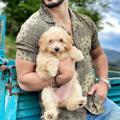 Men's floral shirt HE1402-04-03 Men's floral shirt HE1402-04-03